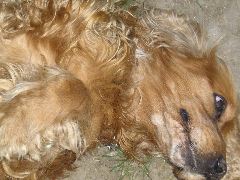 Foto: Jesin-podrbej m�