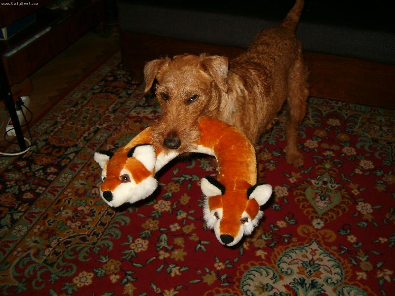 Foto: Trojhlav� li�ka