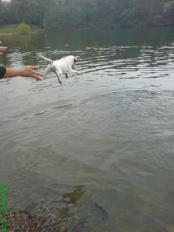 Foto: Agnes se u�� plavat