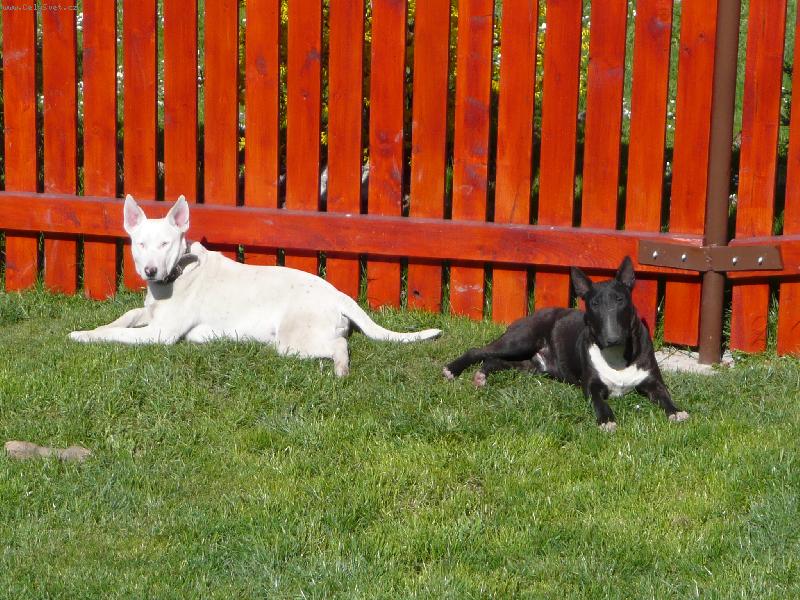 Foto: Danny a Ozzy-Obl�ben� m�ste�ko