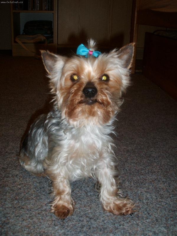 Foto: Moje Peggynka-To je moje Peg�a =oD