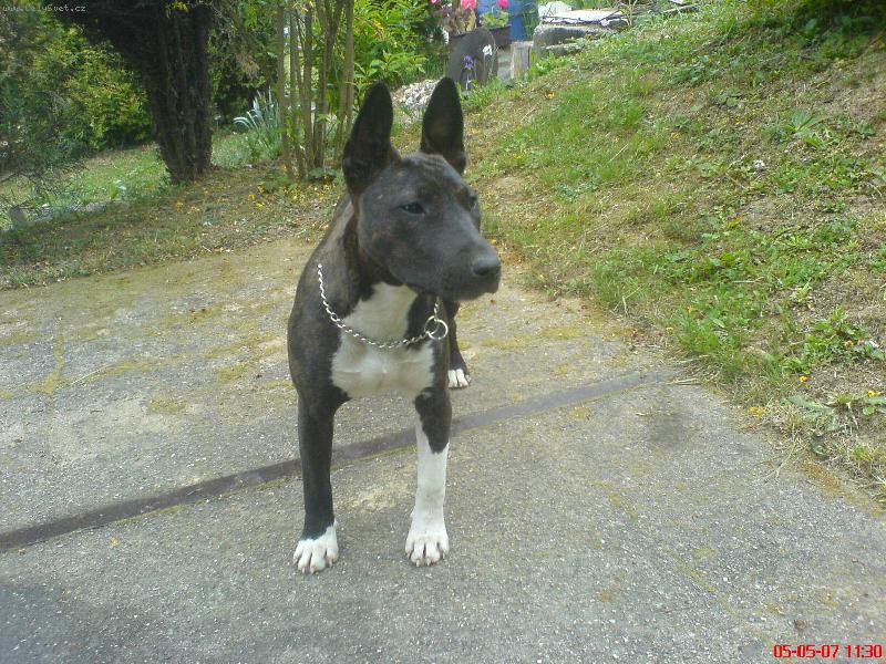 Foto: Nika...-Nika...