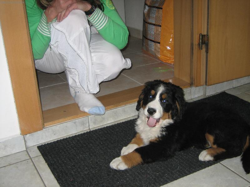 Foto: Oliver Gucci 1.