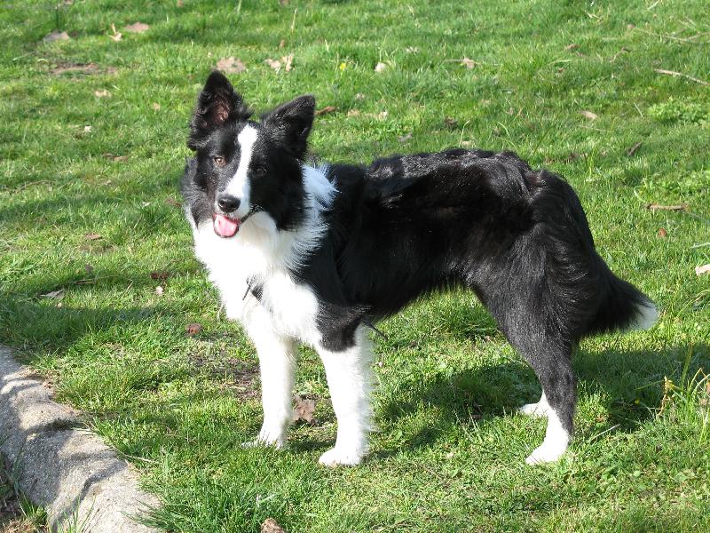 Foto: Na proch�zce