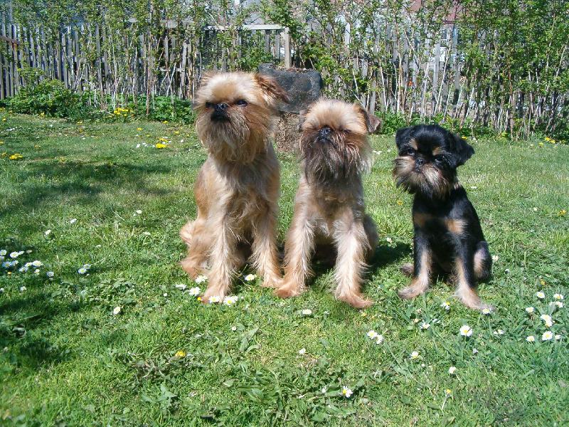 Foto: Siln� trojka 2 1-Zleva B�m�k, Ad�sek a Lorrynka