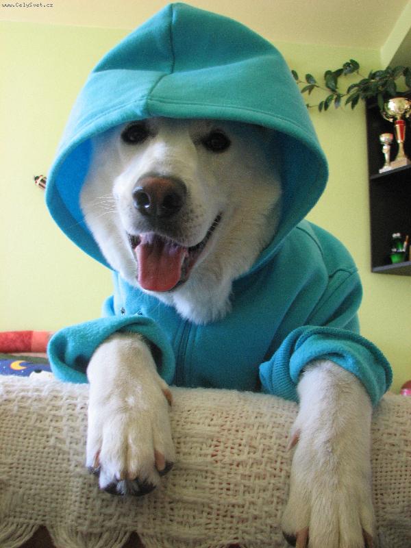 Foto: Arlin Belisima Cembra-Pohoda