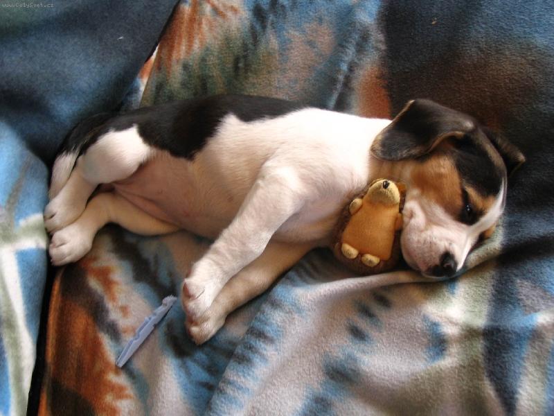 Foto: Sindy-m�j mil��ek:)