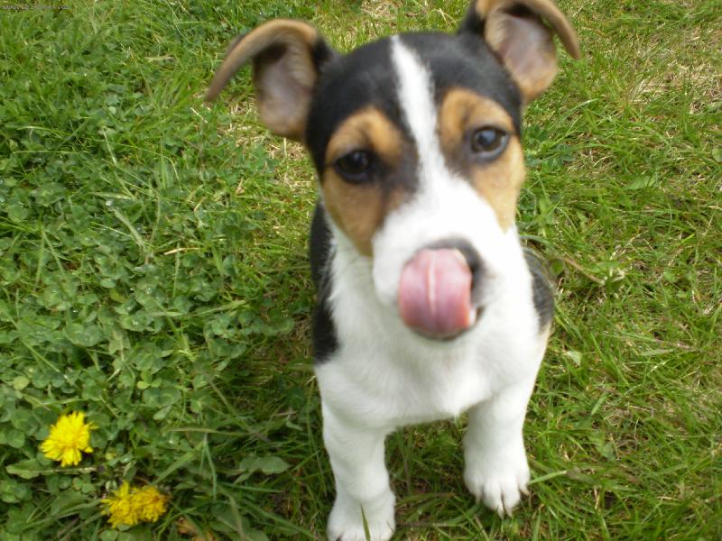 Foto: Bub�te�ek :)-bl�z bl�z