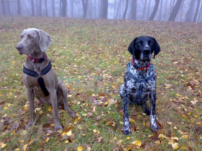 Foto: Vega a Dyk:nerozlu�n� dvojka