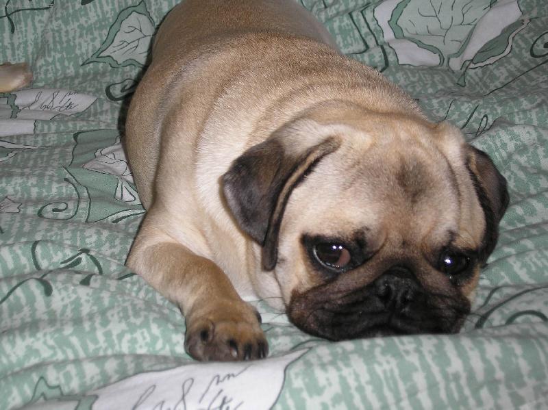 Foto: Ebinka odpo��v�