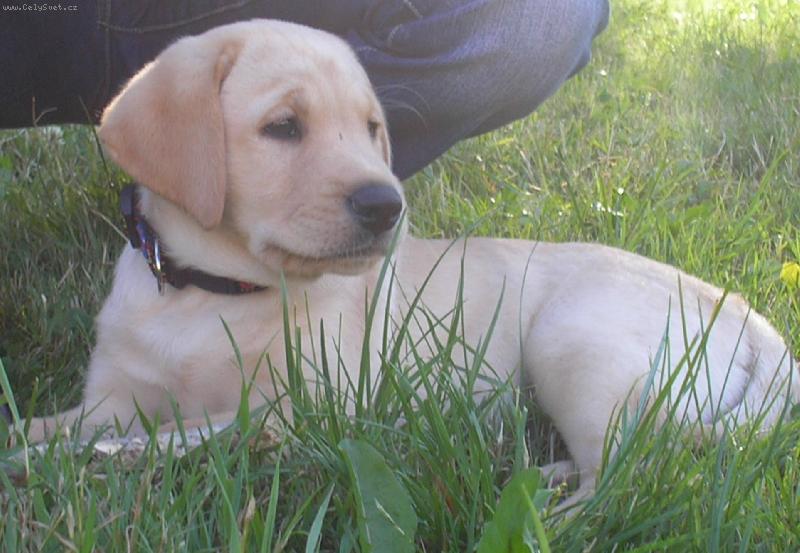 Foto: :))-Moje modelka