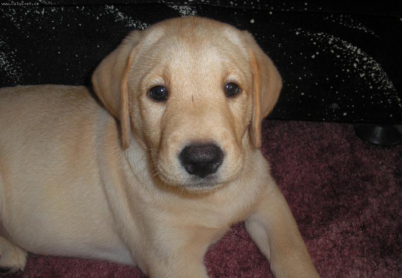 Foto: :)-�t�n�