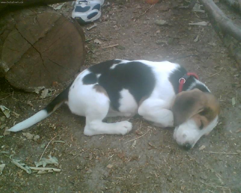 Foto: S�ra-to se to sp�!