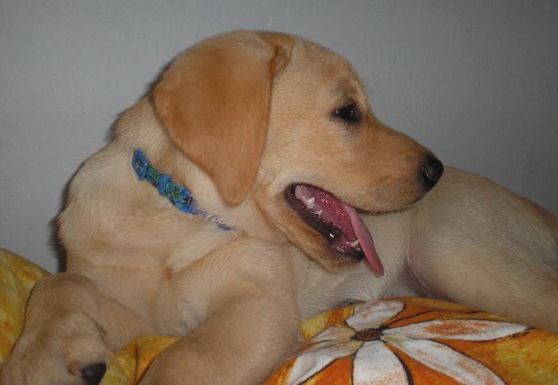 Foto: Brita-To je ale horko