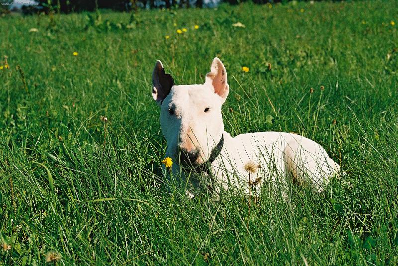 Foto: Sam-Jeho v�sost