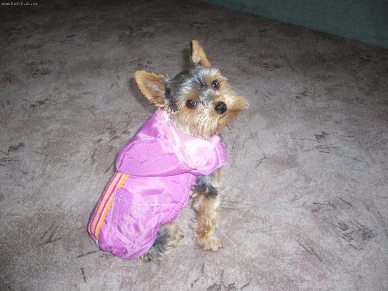 Foto: to jsem frajerka