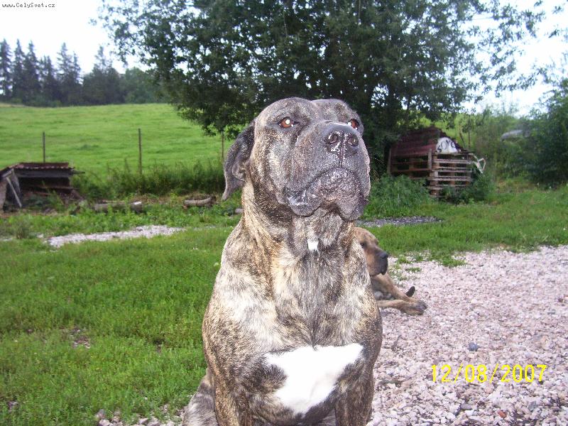 Foto: tak tro�ku na�tvan�...