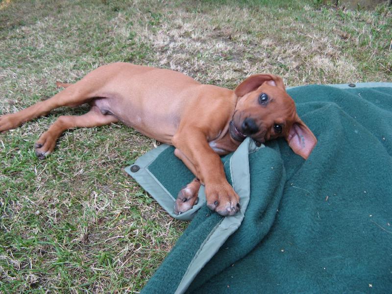 Foto: Kam�a-N� malej