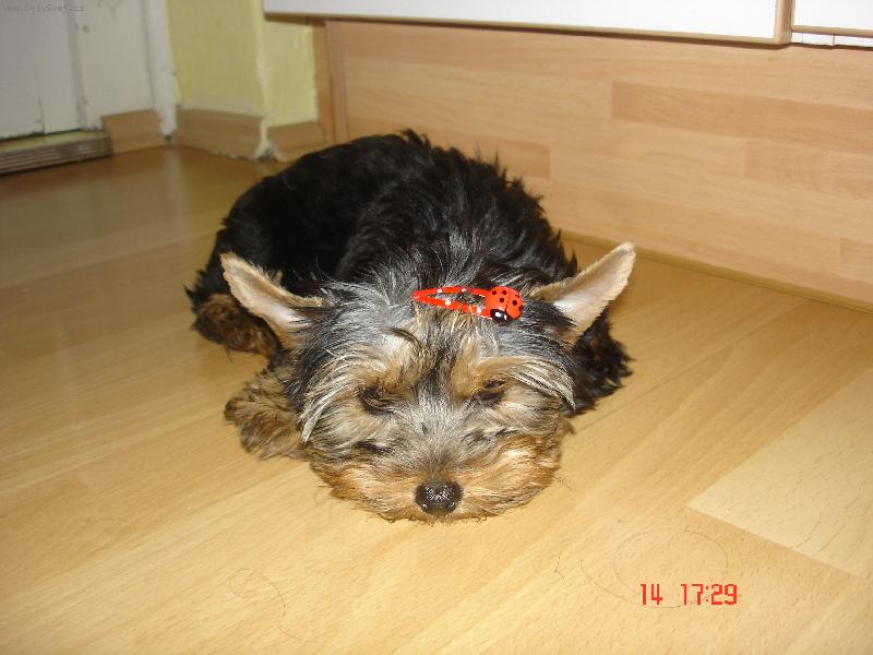 Foto: Mandynka-Mandulka.