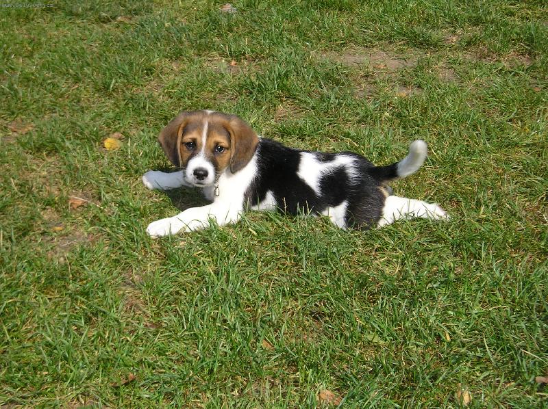 Foto: pohodi�ka:-)