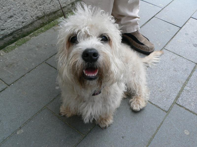 Foto: Holy na v�let�