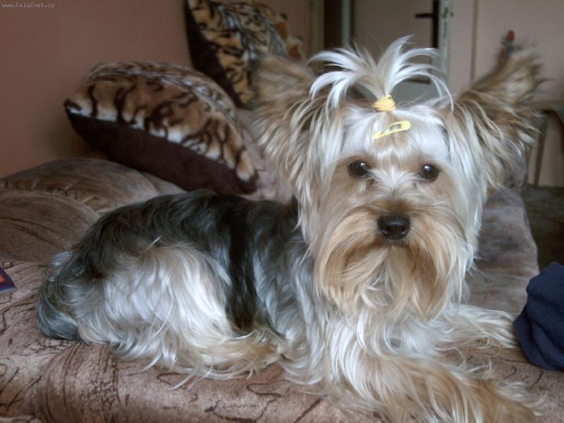 Foto: Na� mila�ek