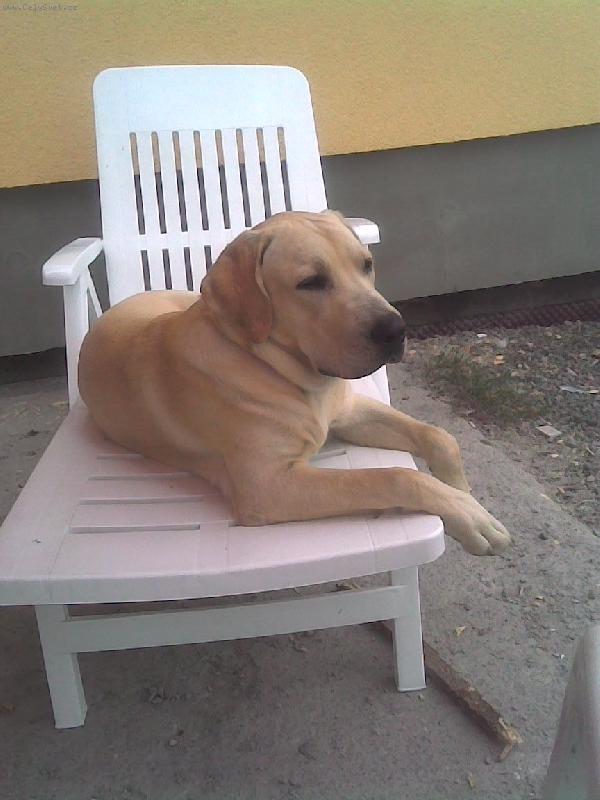 Foto: Max-To m�m ale rozhled!!