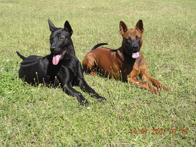 Foto: ExcellentMoravia