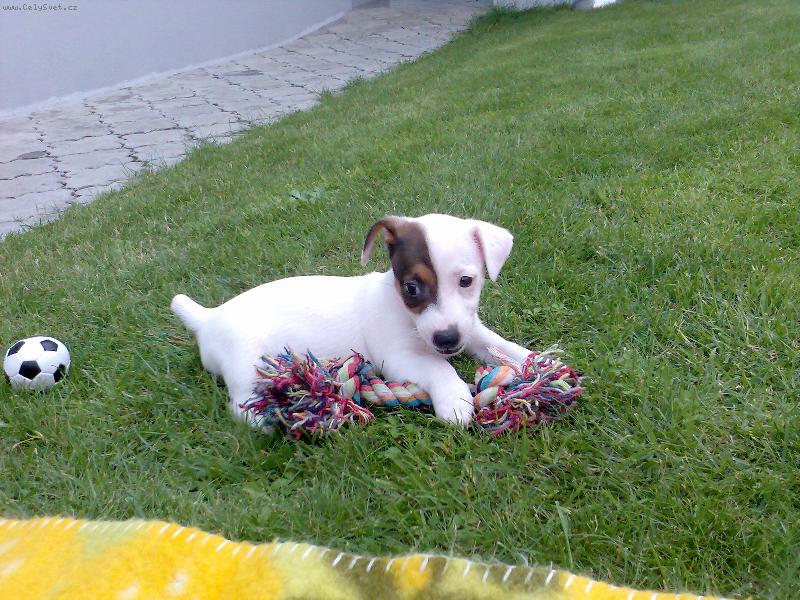 Foto: �t���tko-nov� domov