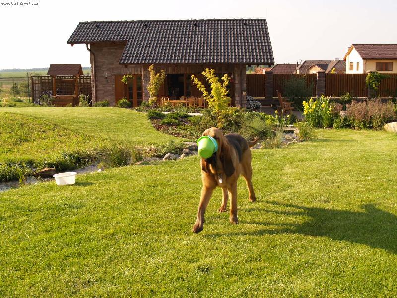 Foto: Wynn Famous Alhavant-mal� �ert