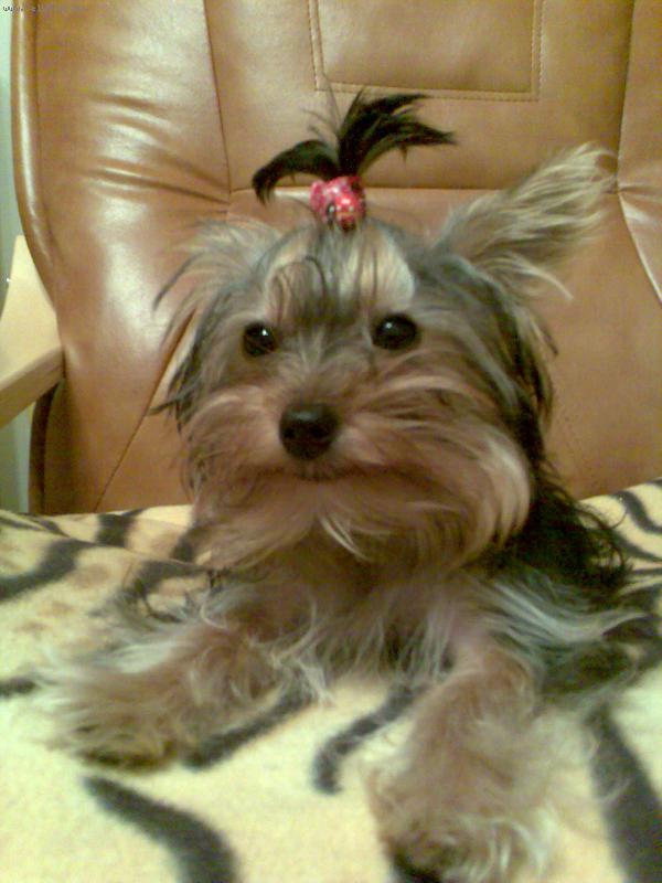 Foto: jessinka-Jessinka