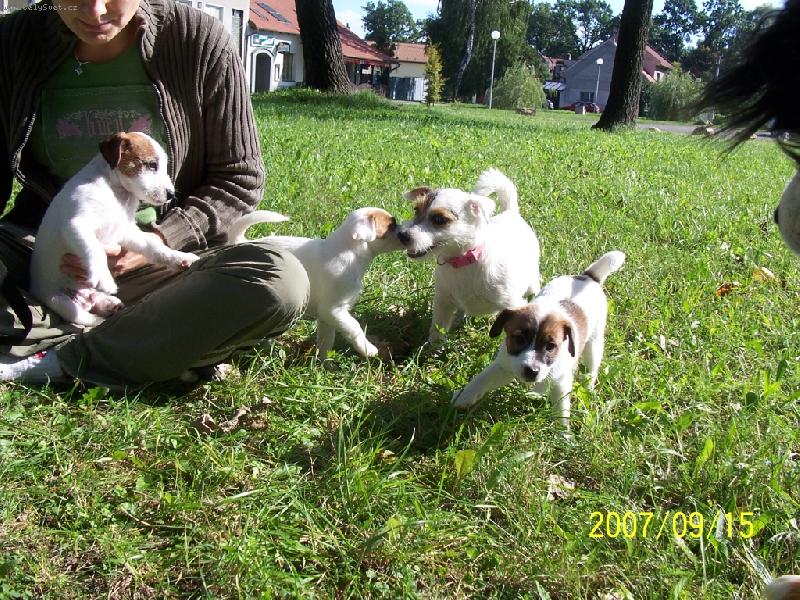 Foto: Mali�k� kamar�dky