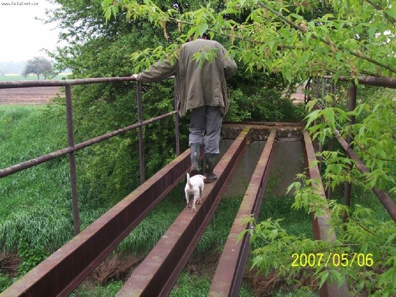 Foto: Fatynka akrobatka