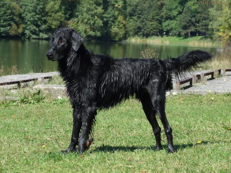 Foto: Argo-zasn�n� pohled na vodu