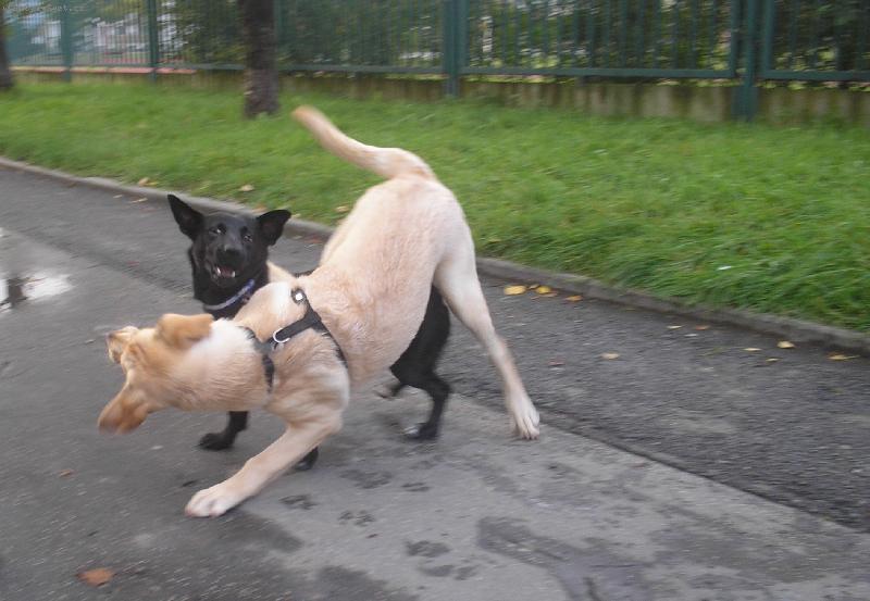 Foto: Bitka to j� nejrad�ji