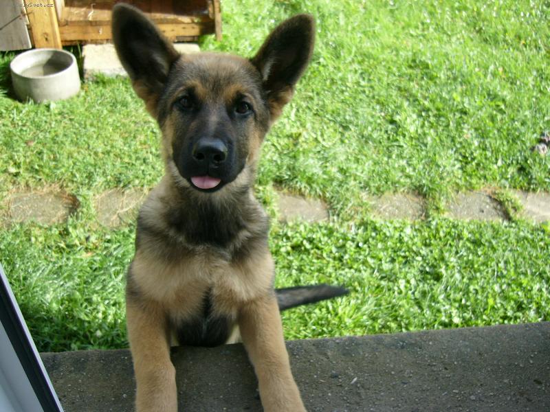 Foto: Kira-Na�e Kirunka