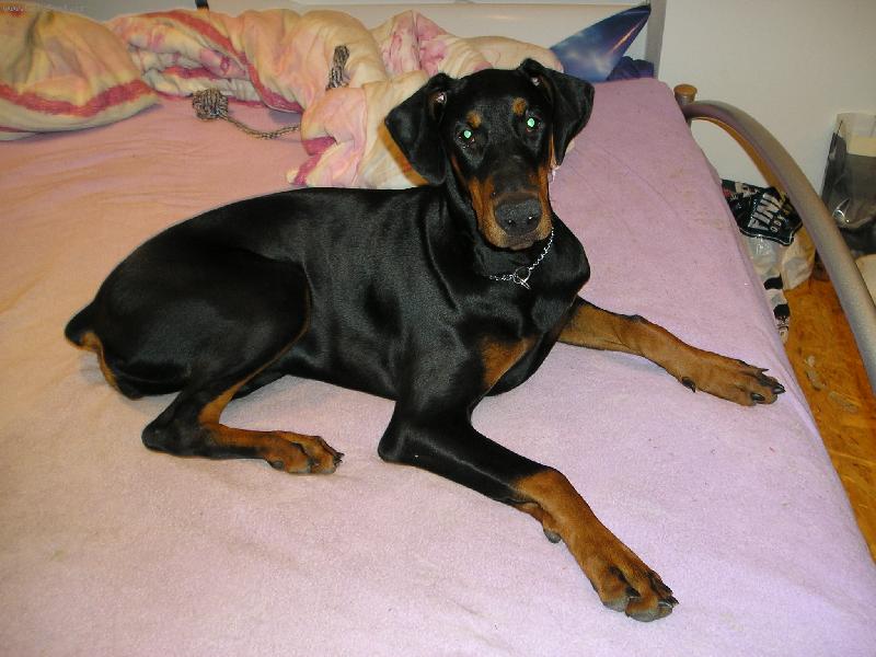 Foto: ISSA OD DVOU LV�