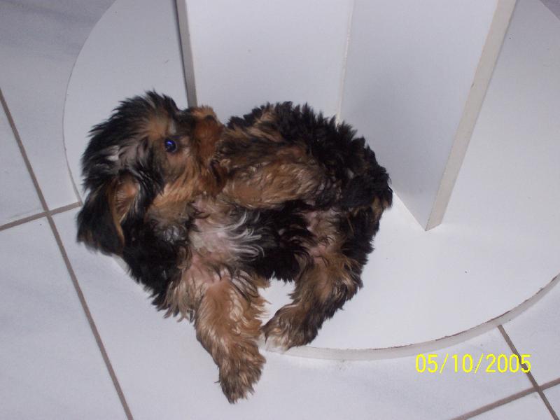 Foto: M�a pod stolem