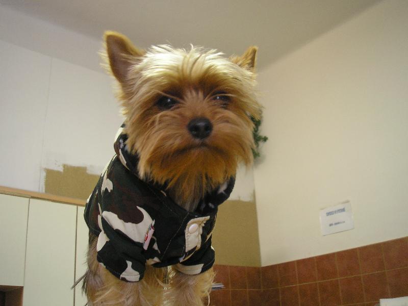 Foto: Nikolka-vojanda to jsem jenom j�