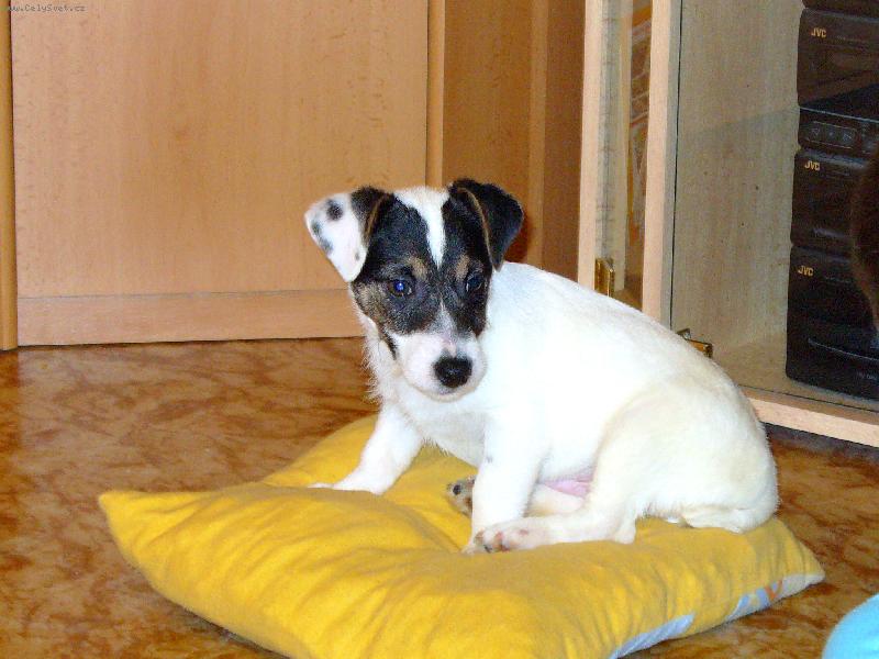 Foto: D�re�ek Jack