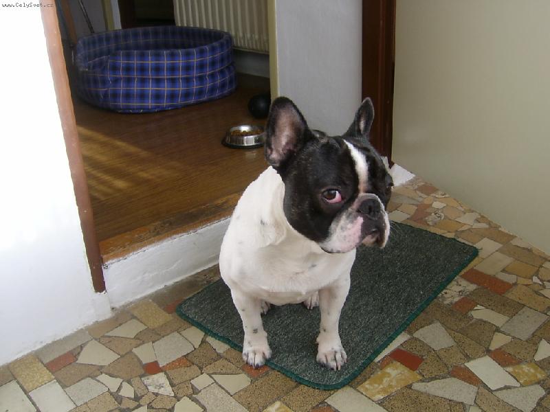 Foto:  �enda vykulen�