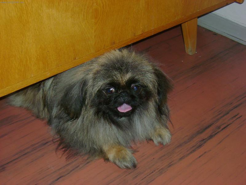 Foto: na�e Florinka