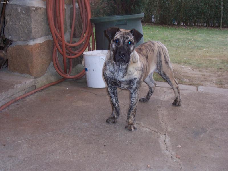 Foto: Mona Chamjan-6. m�s�c�