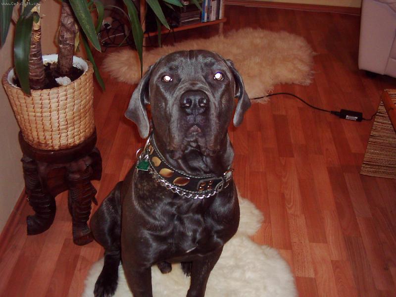 Foto: Nero 10 m�s�c�