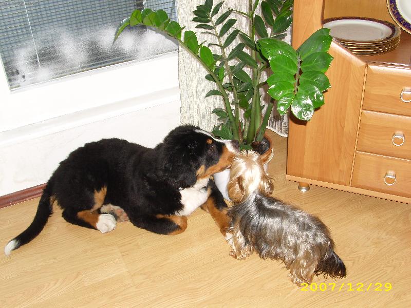 Foto: N� Barnab�ek-D� hubi�ku? Mlask