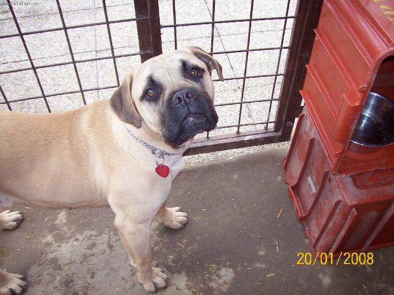 Foto: ajsa 5 mesicu stara