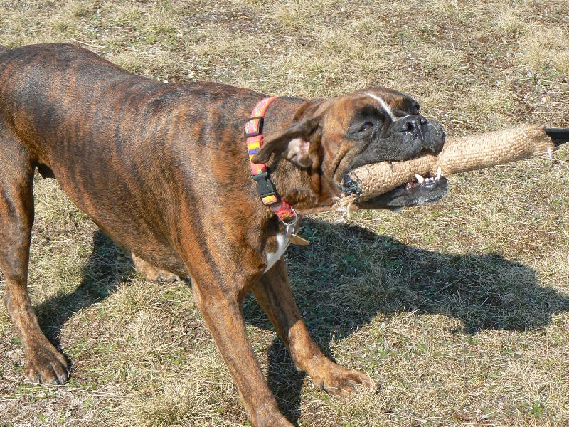 Foto: Bacha na lumpa!