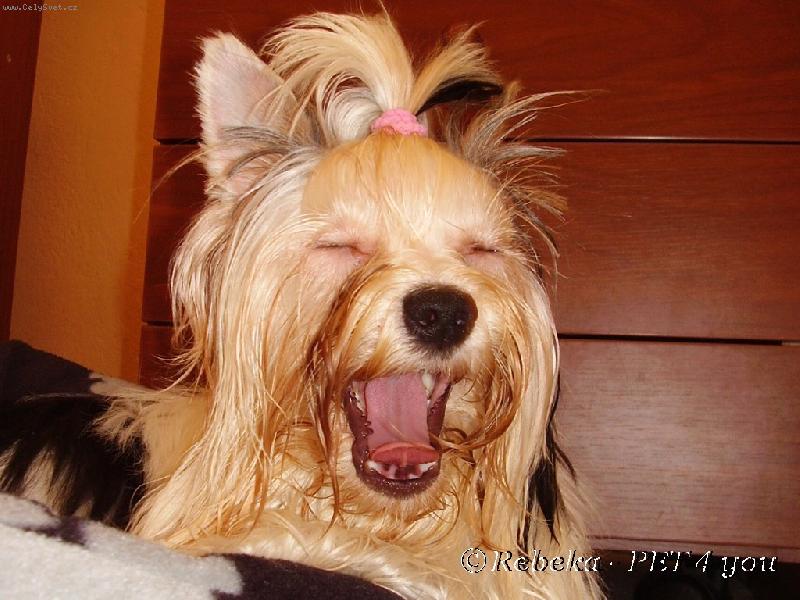 Foto: Kend�k-�es�n� taky unav�