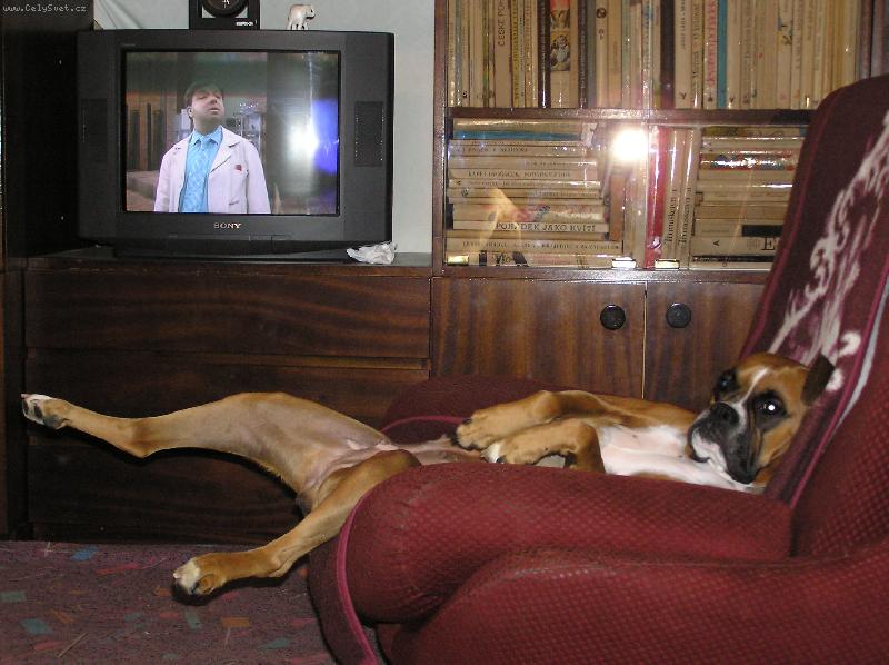 Foto: Aemi odpo��v�-a te� se je�t� po��dn� prot�hnu