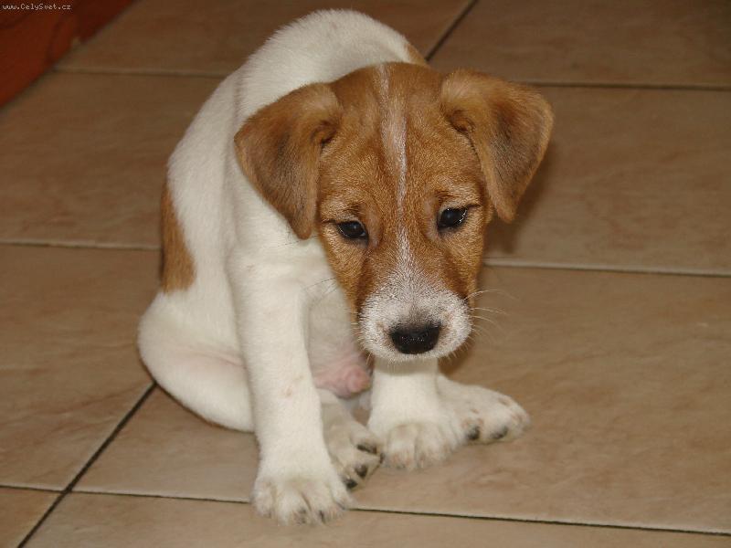 Foto: Co to sly��m?....